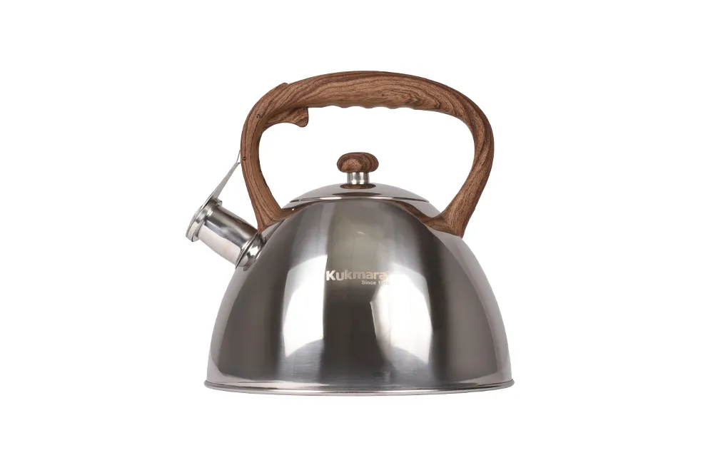 Чайник 3,0л из нерж стали со свистком 2 